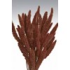 SETARIA  24" Chocolate- 
